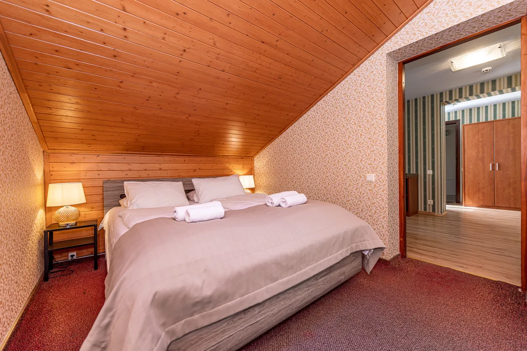 Bedroom with a double bed under a sloping wooden ceiling, red carpet